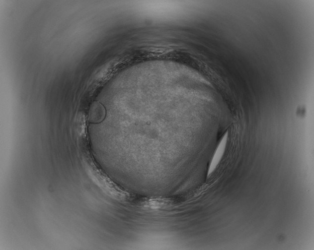 X0000114560758200911091218