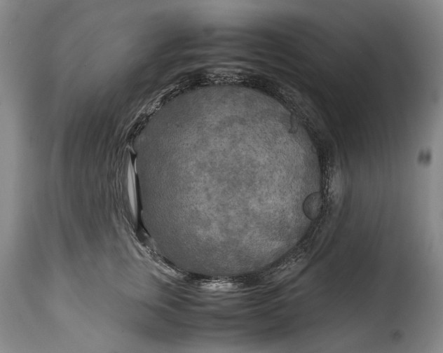 X0000114560759200911091218