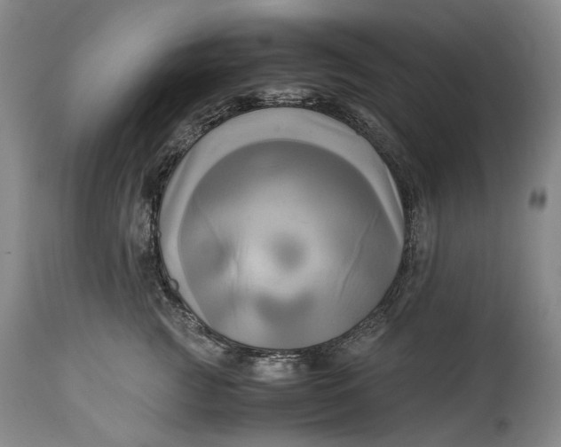 X0000114560761200911091218