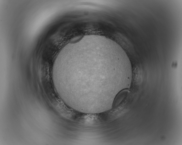 X0000114560762200911091218