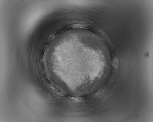 X0000114560763200911091218