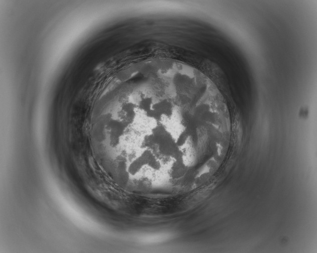 X0000114560765200911091218