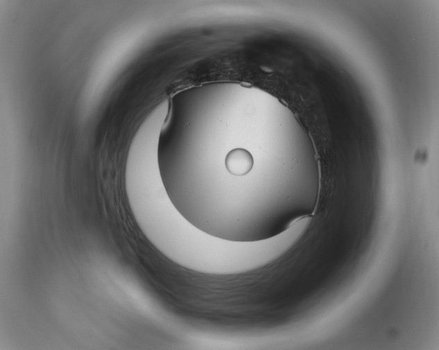 X0000114560766200911091218