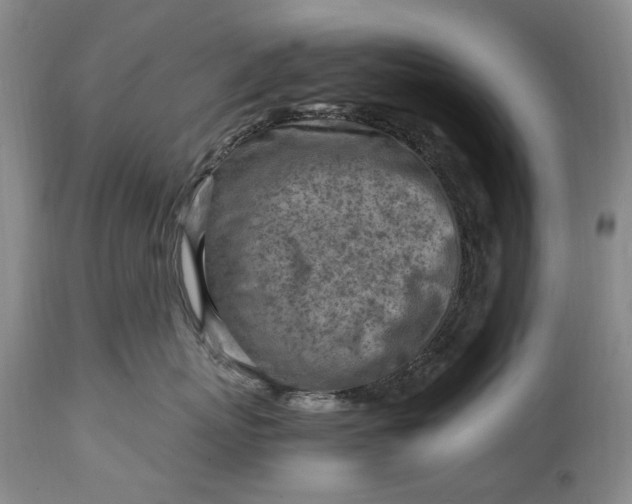 X0000114560767200911091218