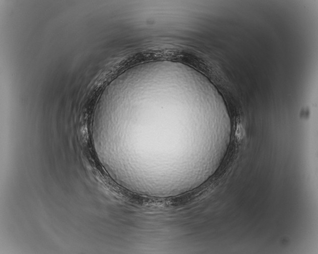 X0000114560771200911091217