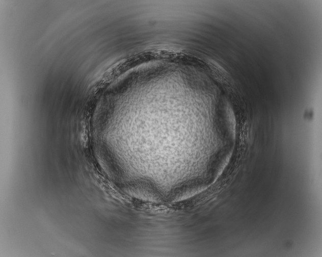 X0000114560774200911091217