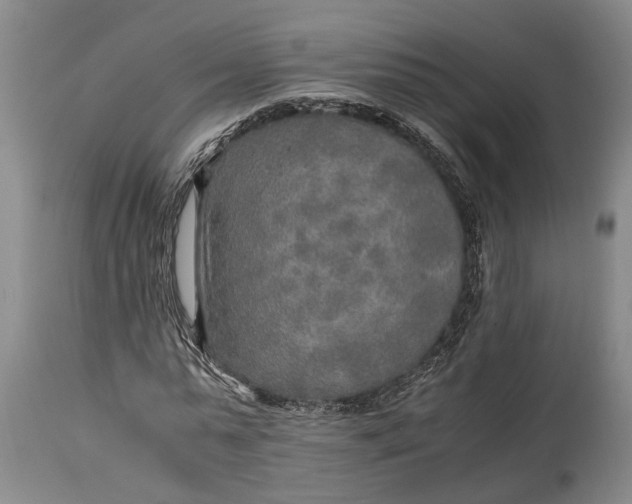 X0000114560775200911091217
