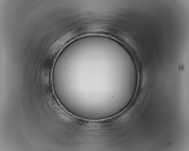 X0000114560777200911091217