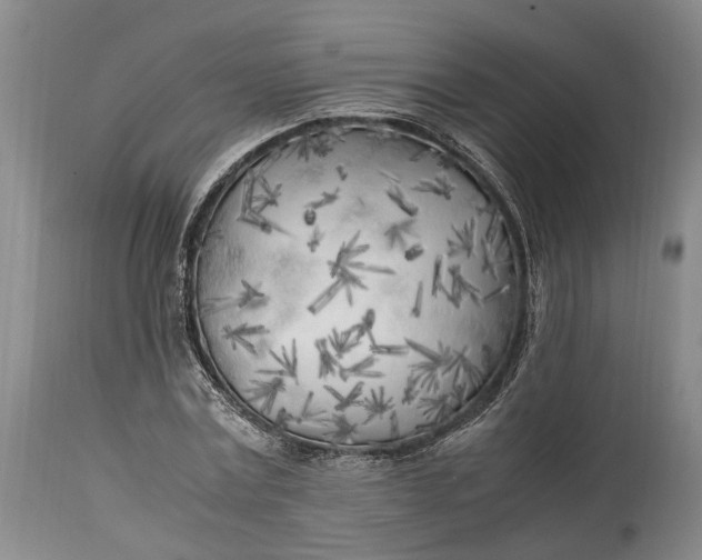 X0000114560779200911091217