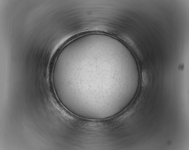 X0000114560780200911091217