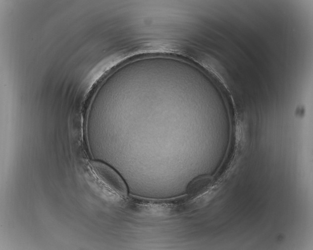 X0000114560781200911091217