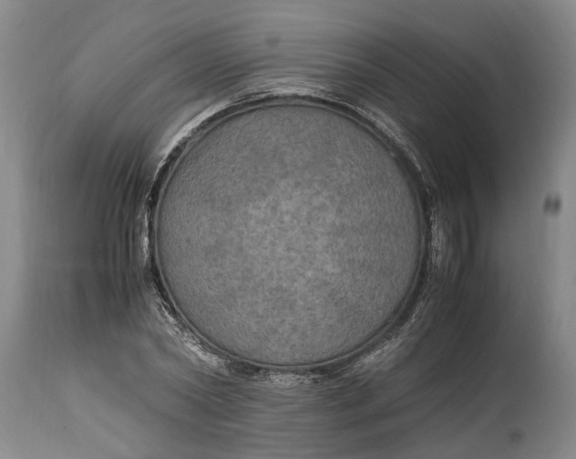 X0000114560782200911091217
