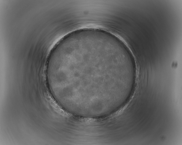 X0000114560783200911091217
