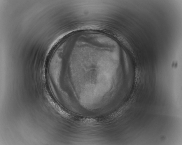 X0000114560784200911091217