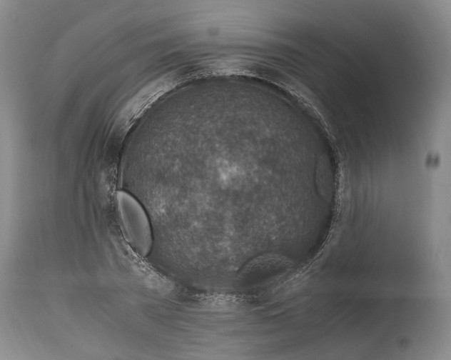 X0000114560785200911091217