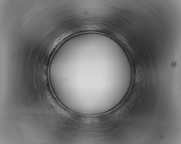 X0000114560786200911091217