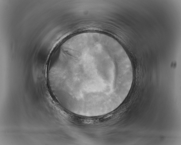 X0000114560790200911091217