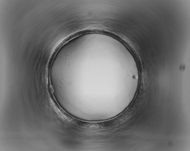 X0000114560791200911091217