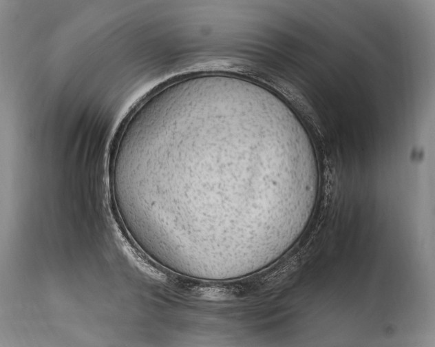 X0000114560792200911091217