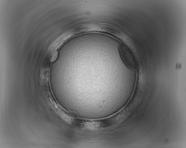 X0000114560793200911091217