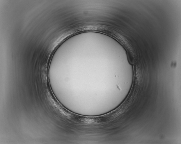 X0000114560794200911091217