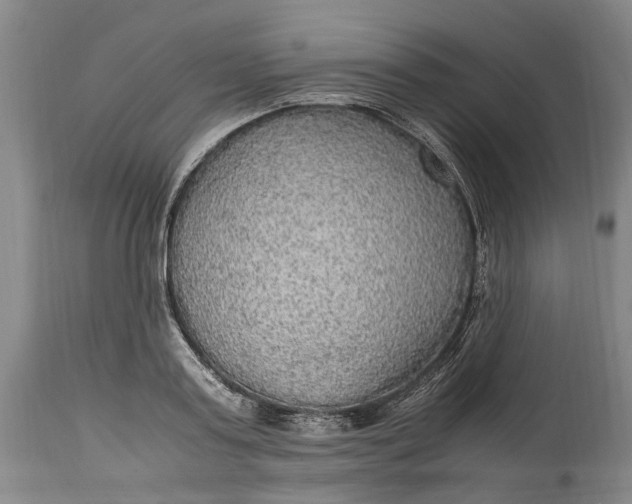 X0000114560795200911091217
