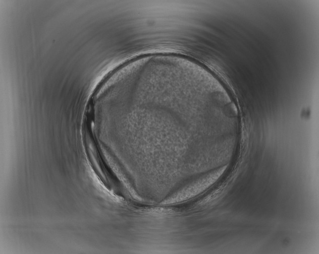 X0000114560797200911091217