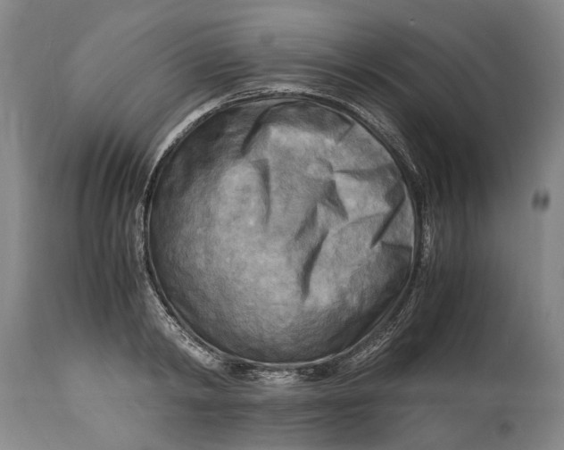X0000114560798200911091217