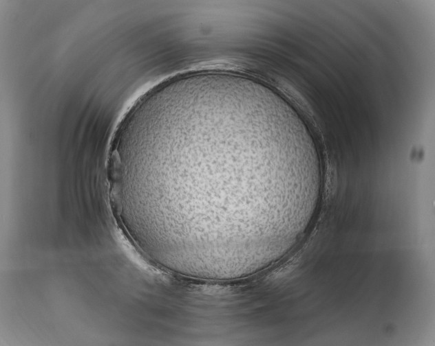 X0000114560800200911091217