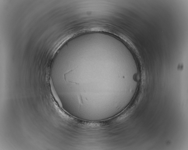 X0000114560801200911091217