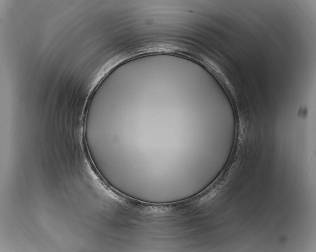 X0000114560802200911091217