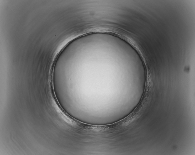 X0000114560803200911091217