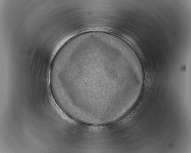 X0000114560804200911091217