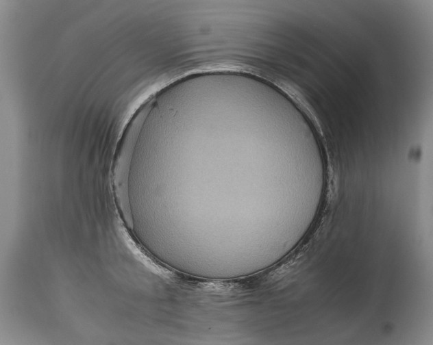 X0000114560805200911091217