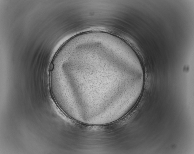 X0000114560808200911091217
