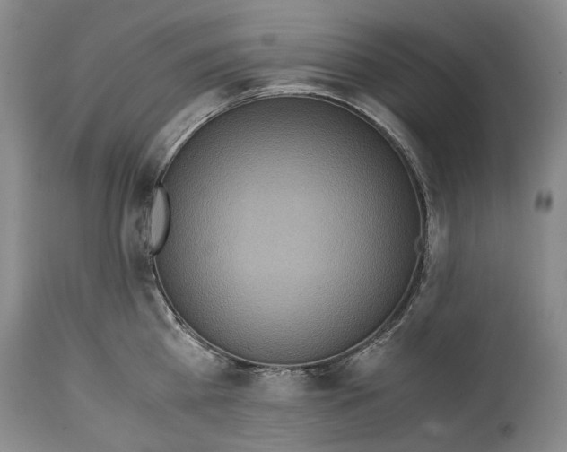 X0000114560809200911091217