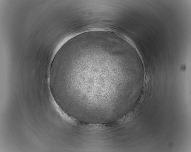 X0000114560811200911091216