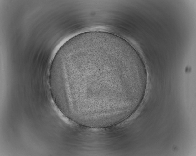 X0000114560816200911091216