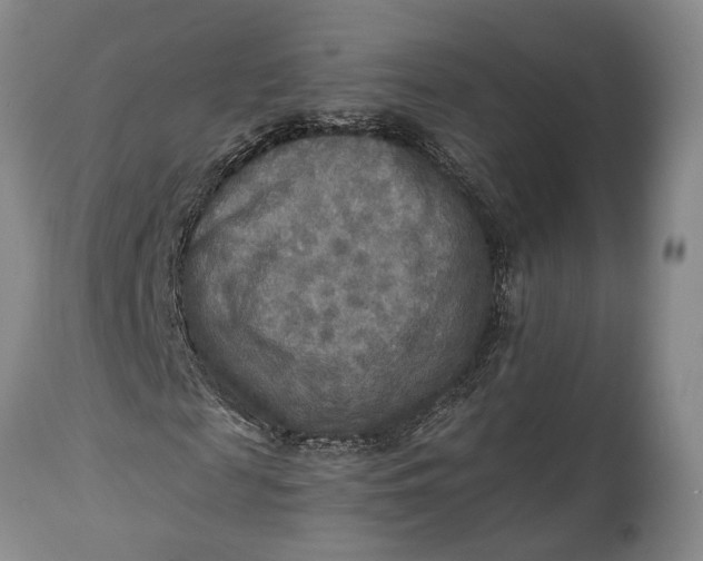 X0000114560817200911091216