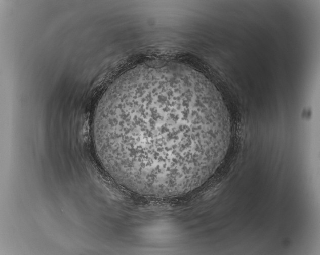 X0000114560818200911091216