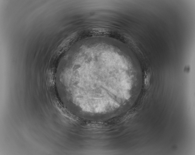 X0000114560819200911091216