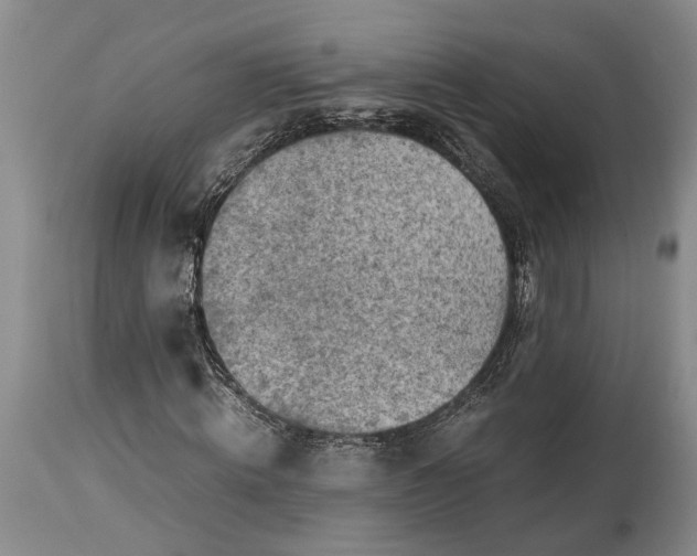 X0000114560820200911091216