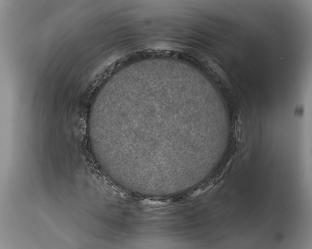 X0000114560821200911091216