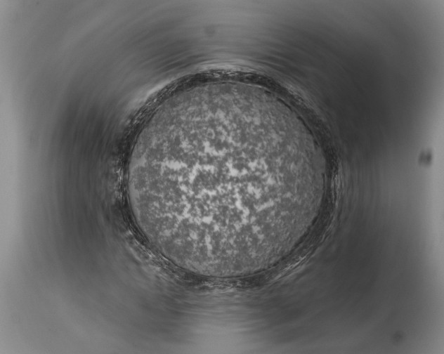 X0000114560822200911091216