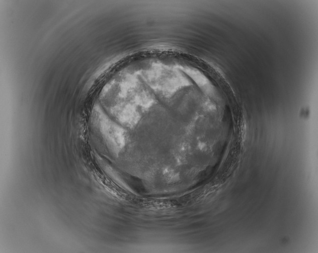 X0000114560823200911091216