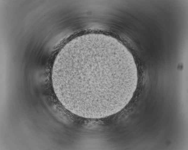 X0000114560824200911091216