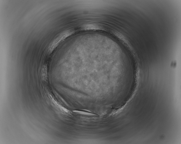 X0000114560825200911091216