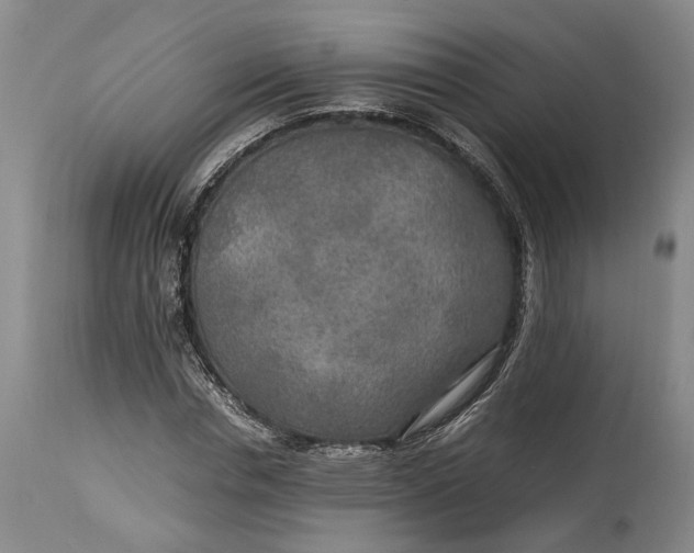 X0000114560826200911091216