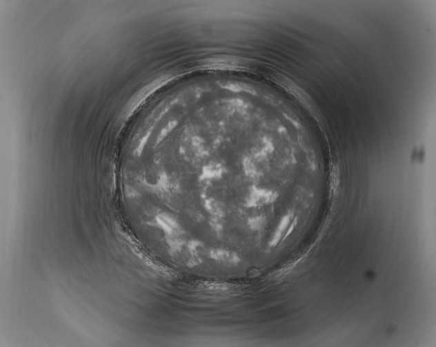 X0000114560829200911091216
