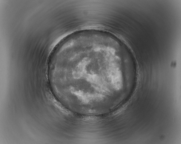 X0000114560830200911091216